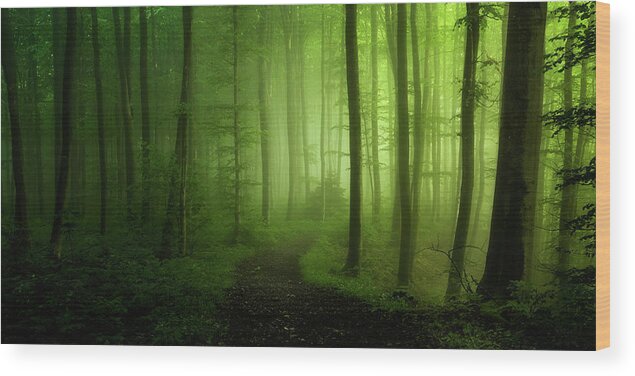 Landscape Wood Print featuring the photograph Spring Promise by Norbert Maier