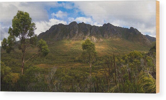 Tasmania Wood Print featuring the photograph The Sentinels by Anthony Davey