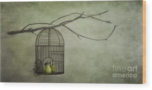 Pears Wood Print featuring the photograph There is a world outside by Priska Wettstein