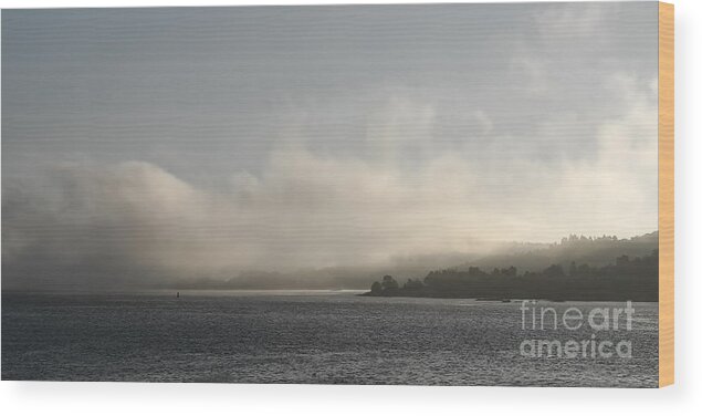 Foggy Morning Wood Print featuring the photograph Foggy Morning greyscale by Lutz Baar