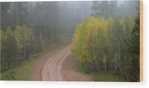  Wood Print featuring the photograph Rim Road #1 by Matalyn Gardner