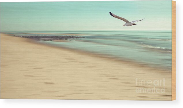 Beach Wood Print featuring the photograph Desire Light Vintage by Hannes Cmarits