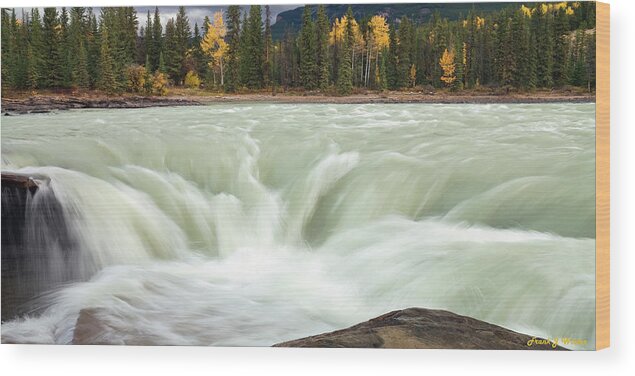 Canada Wood Print featuring the photograph Athabasca River by Frank Wicker