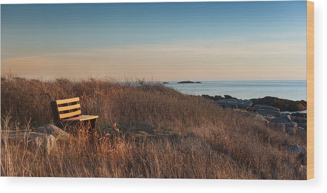 Sunset Wood Print featuring the photograph Available Seating by Robin-Lee Vieira