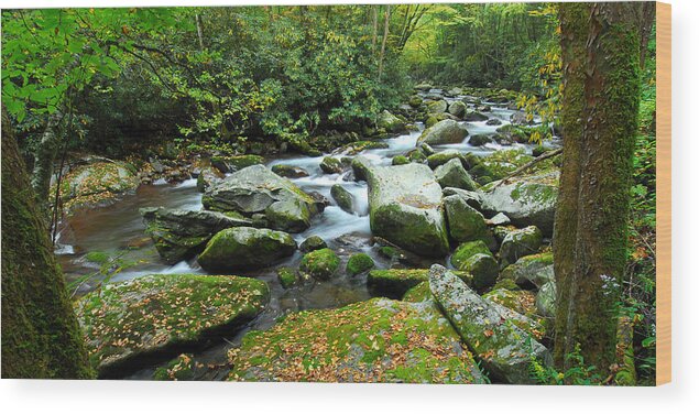 Big Creek Wood Print featuring the photograph Big Creek Bend by Alan Lenk