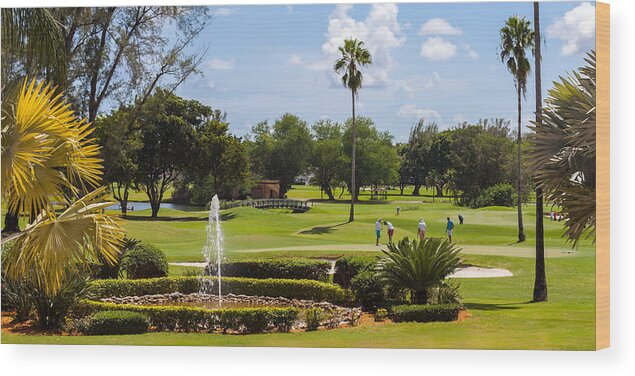 Biltmore Wood Print featuring the photograph Biltmore Golf by Ed Gleichman