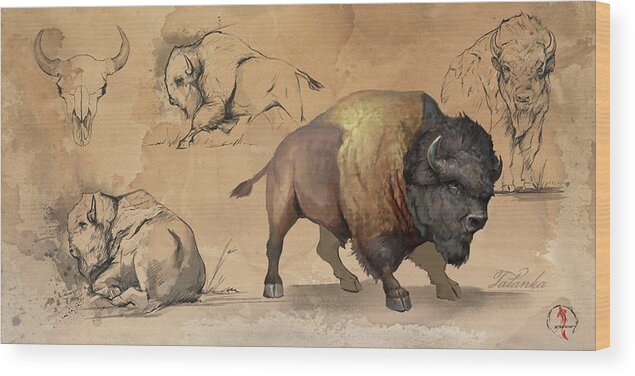 Bison Wood Print featuring the digital art Bison Study Sheet by Steve Goad