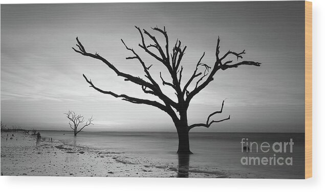 Boneyard Beach Wood Print featuring the photograph Botany Bay Beach At Dawn BW by Michael Ver Sprill