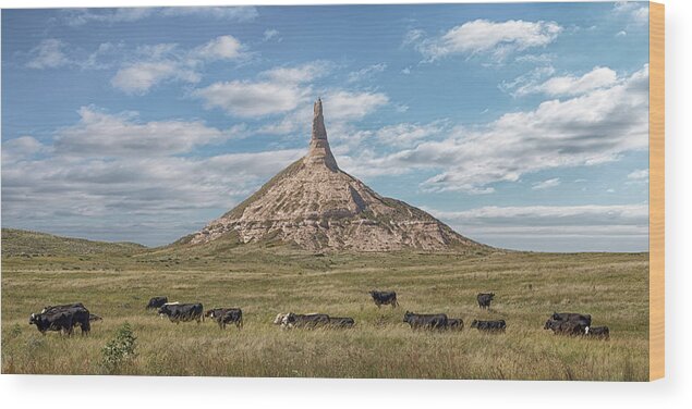 Chimney Rock Wood Print featuring the photograph Chimney Rock by Susan Rissi Tregoning