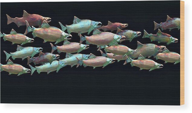 Salmon Wood Print featuring the photograph Coho Migration by Jeff Burgess