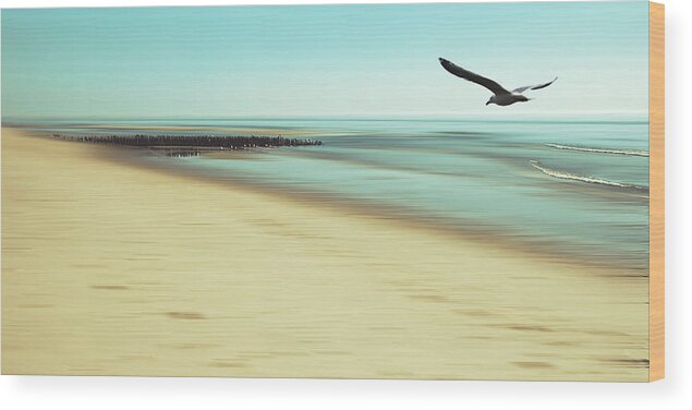 Seagull Wood Print featuring the photograph Desire by Hannes Cmarits