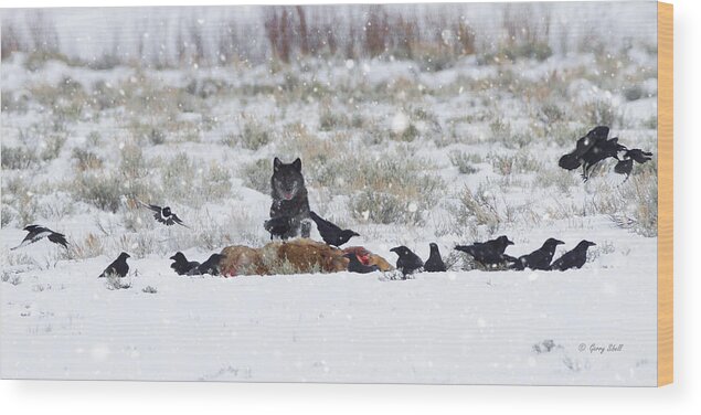 Nature Wood Print featuring the photograph Uninvited Dinner Guesst by Gerry Sibell