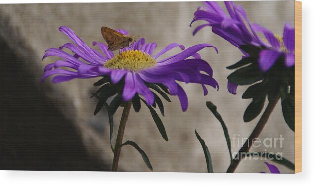 Flower Wood Print featuring the photograph Engaged In Purple by Linda Shafer