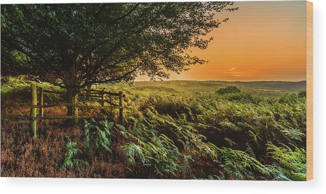 Sunset Wood Print featuring the photograph Evening Glow by Nick Bywater