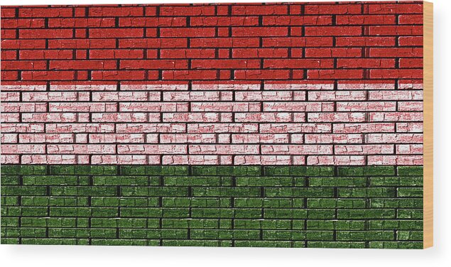Europe Wood Print featuring the photograph Flag of Hungary Graffiti by Roy Pedersen