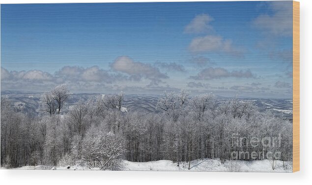 Winter Scene Wood Print featuring the photograph Frozen view by Dan Friend