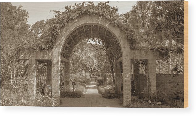 2017 Wood Print featuring the photograph Garden Arch by Darrell Foster