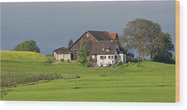 Bavaria Wood Print featuring the photograph German farm at springtime by Tatiana Travelways
