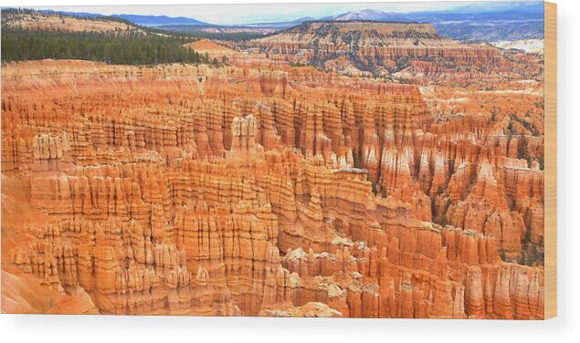 0887 Wood Print featuring the photograph Hoodoos of Bryce Canyon by Gordon Elwell