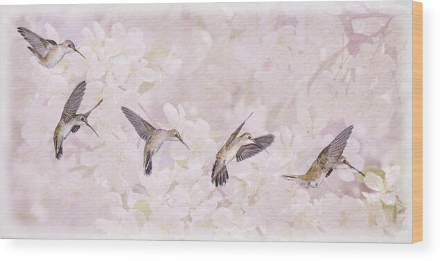 Hummingbirds Wood Print featuring the photograph Hummingbird Flight Sequence I by Leda Robertson