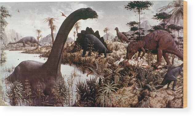Biology Wood Print featuring the photograph Jurassic Swamp by Granger