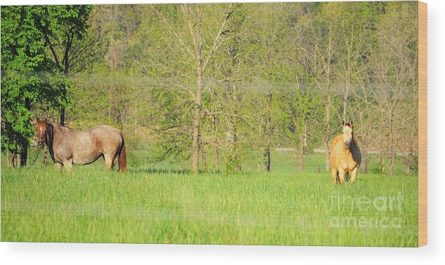 Horses Wood Print featuring the photograph Knee deep in grass by Merle Grenz