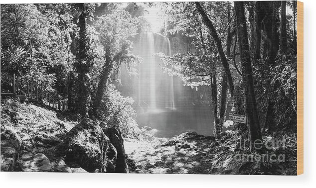 Landscape Wood Print featuring the photograph Misol Ha Waterfall Mexico Black and White by THP Creative