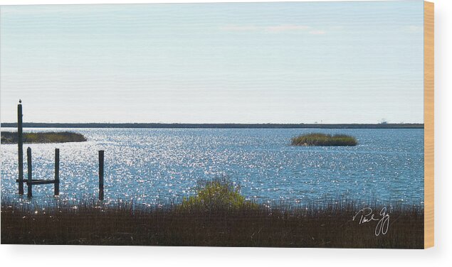 Gulf Of Mexico Wood Print featuring the photograph Ocean Springs Mississippi by Paul Gaj