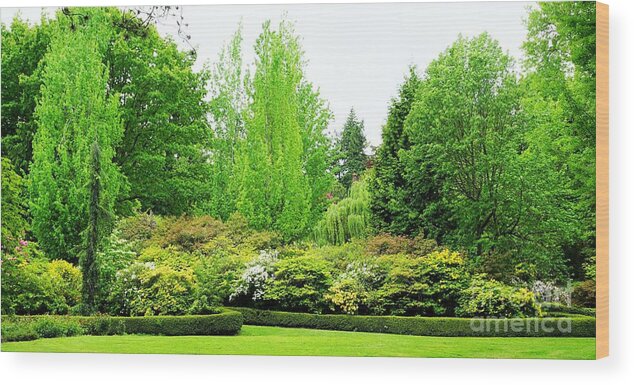 Portland Oregon Wood Print featuring the photograph Portland Oregon garden by Merle Grenz