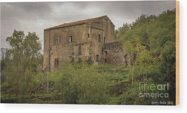 Landscape Wood Print featuring the photograph Post Croatian War by Barry Bohn