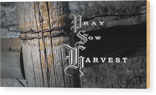 Pray Sow Harvest Wood Print featuring the photograph Pray Sow Harvest by Troy Stapek