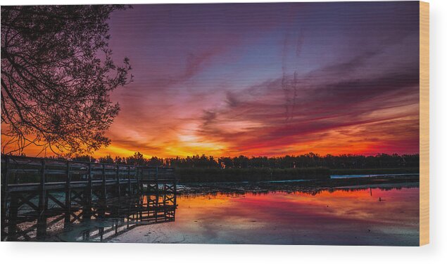 Buffalo Sunrise Wood Print featuring the photograph Rabbit Run Aurora by Chris Bordeleau