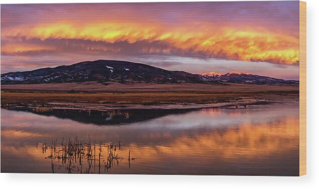 Monte Vista Wood Print featuring the photograph Refuge Reflection by Chuck Rasco Photography