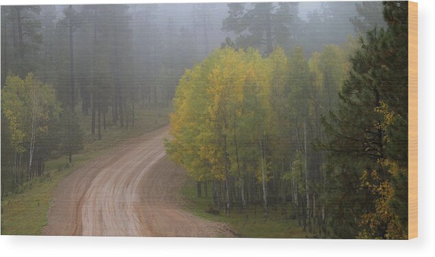 Autumn Wood Print featuring the photograph Rim Road by Matalyn Gardner