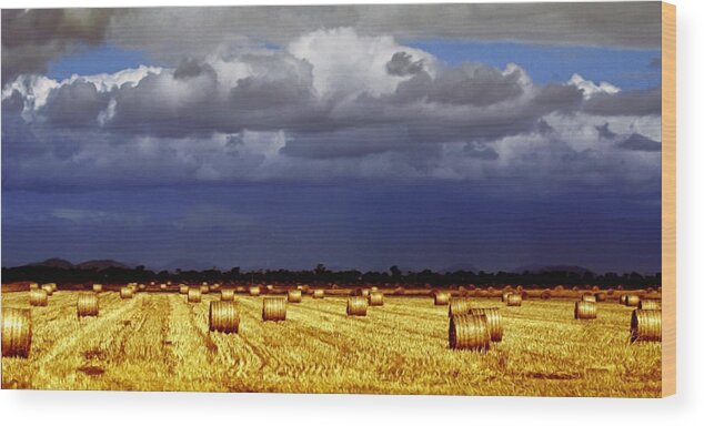 Landscape Wood Print featuring the photograph Rolling On by Holly Kempe