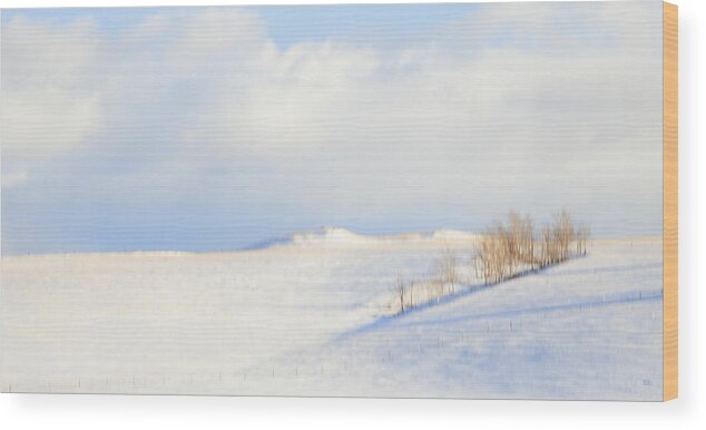 Minimalism Wood Print featuring the photograph Simply Snow Landscape by Theresa Tahara