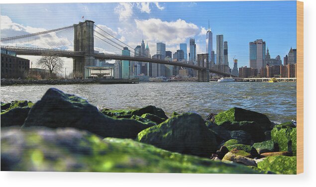 Manhattan Wood Print featuring the photograph Skyline by Mitch Cat
