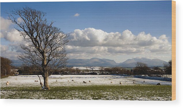 Wales Wood Print featuring the photograph Snowdonia Mountains from Henblas by Peter OReilly