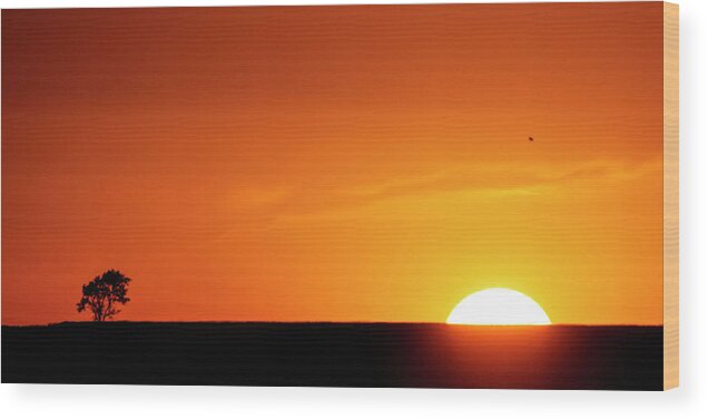 Kansas Wood Print featuring the photograph Sunset and Tree -01 by Rob Graham
