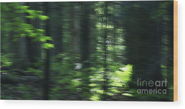 Abstract Wood Print featuring the photograph The Forest For The Trees by Linda Shafer