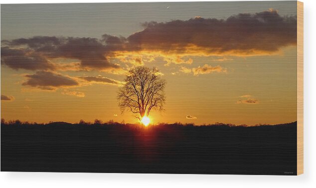 The Setting Sun Wood Print featuring the photograph The Setting Sun by Dark Whimsy