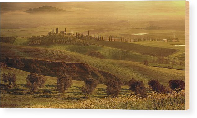 Tuscany Wood Print featuring the photograph Tuscan Villa by Rob Davies