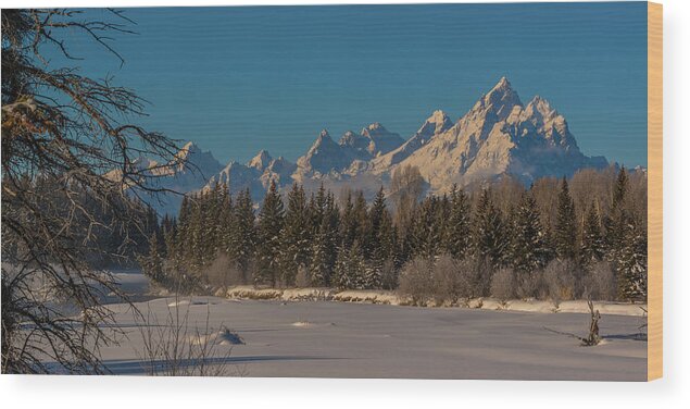 Tetons Wood Print featuring the photograph Winter Morning At The Grand by Yeates Photography