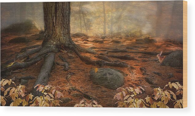 Woodland Wood Print featuring the photograph Wonder Always by Robin-Lee Vieira
