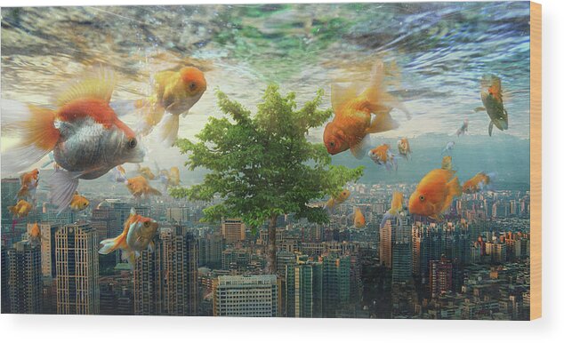 Fishtank Wood Print featuring the photograph Fish Tank #1 by Andrew Kow