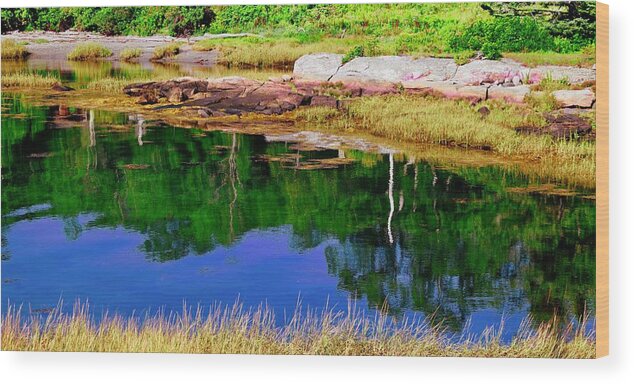 Reflection Wood Print featuring the photograph Afternoon Reflection by Debra Grace Addison