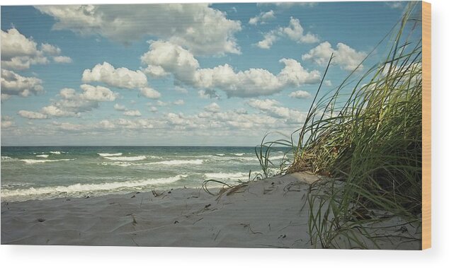 Shore Wood Print featuring the photograph Coral Cove Beach No 2 by Steve DaPonte