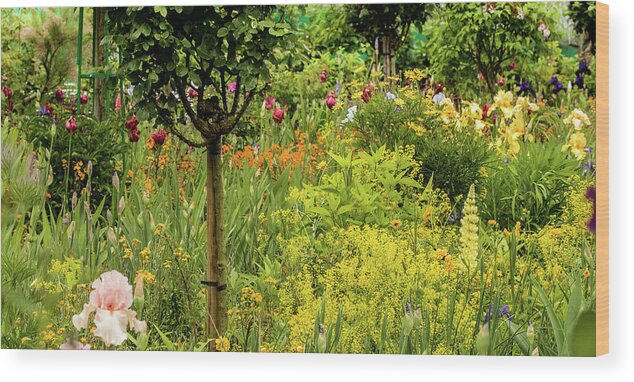 Gardens Of Claude Monet Wood Print featuring the photograph Florals in Yellow by E Faithe Lester