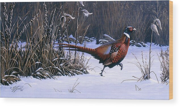 Ringnecked Pheasant Running In The Snow Wood Print featuring the painting Heading For Cover by Wilhelm Goebel