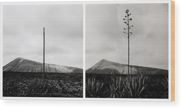 Lanzarote Wood Print featuring the photograph Montaas Del Fuego by Huib Limberg